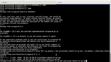 Using Wireguard to connect to VPN in Freebsd / Linux .Faster than Openvpn.