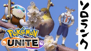 【ポケモンユナイト】タイレーツ来る前にマスター行きますか（エキスパート2～）【Vtuber/ダン坊】