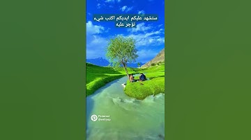 سوره قريش بصوت القارئ الشيخ فارس عباد ♥️♥️♥️ #اكسبلور #الصلاه #يارب