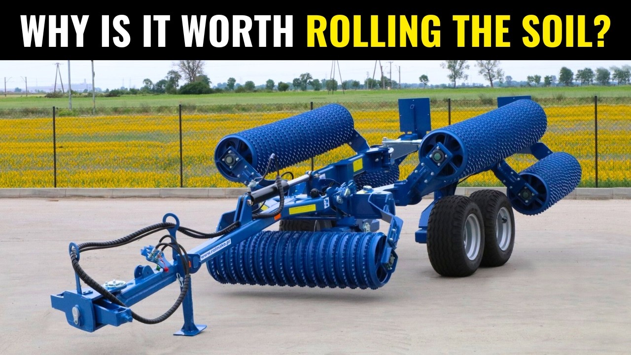 Rolling into Growth: Is It Worth To Roll The Soil?