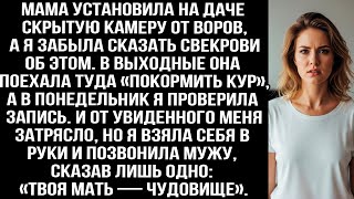 видео: Я забыла сказать свекрови, что мама поставила на даче камеру. Посмотрев запись меня затрясло от шока картинка: Я забыла сказать свекрови, что мама поставила на даче камеру. Посмотрев запись меня затрясло от шока