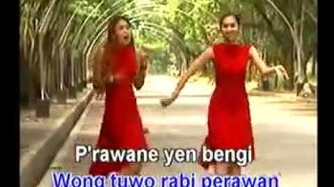 Lagu Dangdut / Ohello Sisters - Cucak Rowo