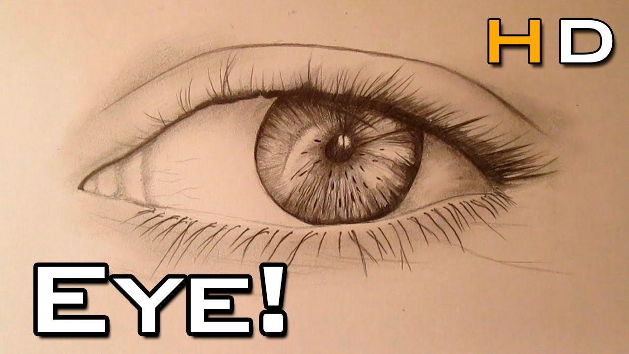 How to Draw a Realistic Eye With Pencil Step by Step - Timelapse - YouTube