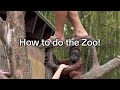 We know how to zoo 