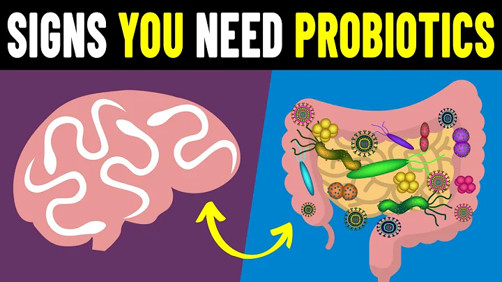 9 Signs You Need To Take Probiotics - DayDayNews