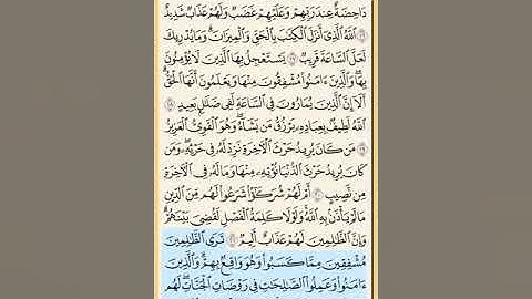 القرآن الكريم سورة الشورى من الآية الكريمة 16 إلى الآية الكريمة 31 محمد ايوب