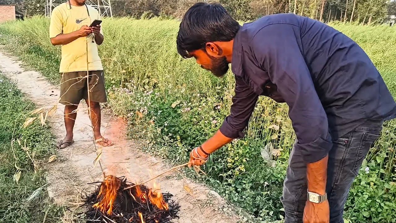 Hare Matar ki party 😄