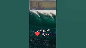 سعد الغامدي - القرآن الكريم - آية الكرسي - تلاوة خاشعة