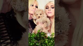 Celebrity Donatella Versace’s Shocking Exit: 5 Moments That Made Her a Legend! #Shorts #Versace Net Worth