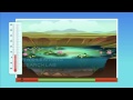 Essential Elements and Environmental Factors in Living Organisms