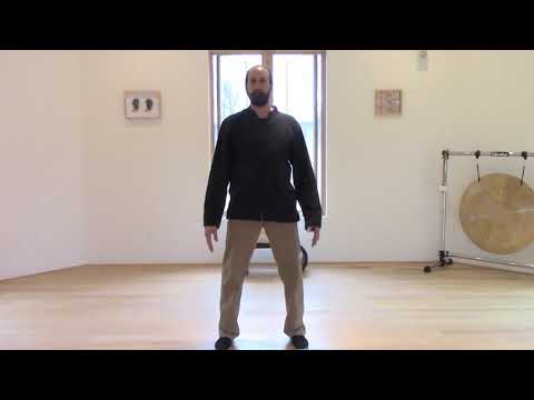 WALKING QIGONG (KNOWN AS ANTI-CANCER WALKING)