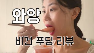 비건 먹방 vegan mukbang | 채식 과일 푸딩 리뷰💚 (+비건 아이스크림) vegetarian pudding review