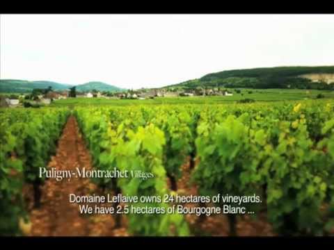 Domaine Leflaive: A Path to Follow