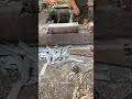 he mass produces knives in the traditional style #traditionalforge #styletraditional