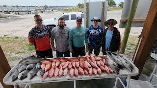 Vermilion Snapper Beatdown!