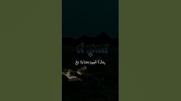 تلاوة خاشعة جميلة بصوت ماهر المعيقلي ارح سمعك ♡ #ماهر_المعيقلي