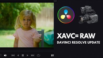 How to Use DaVinci 18.5 Sony Raw Control
