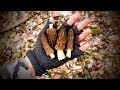 Epic Michigan Morel Mushroom Hunting - April 2021