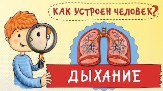 Мультфильм. Как Устроен Человек? Зачем Мы Дышим? Путешествие По Вашему Телу. Развивающий Мультик.