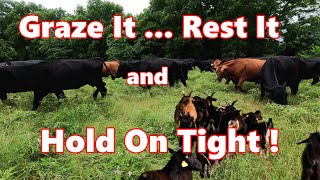 Managing Grazable Forage For Livestock