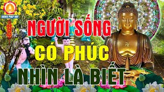 Người Sống Có phúc Nhìn Là Biết, Khổ Đau Không Đến Hạnh Phúc Không Đi - Mới