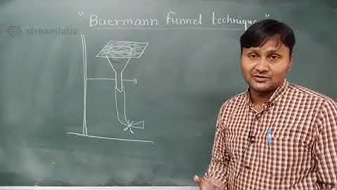 Baermann funnel technique (Extraction of Nematodes)