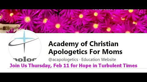 Debbie Spencer the Mom Apologist