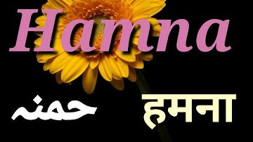Hamna Name Meaning | Hamna Name Status | Hamna Name WhatsApp Status | Islamic Names