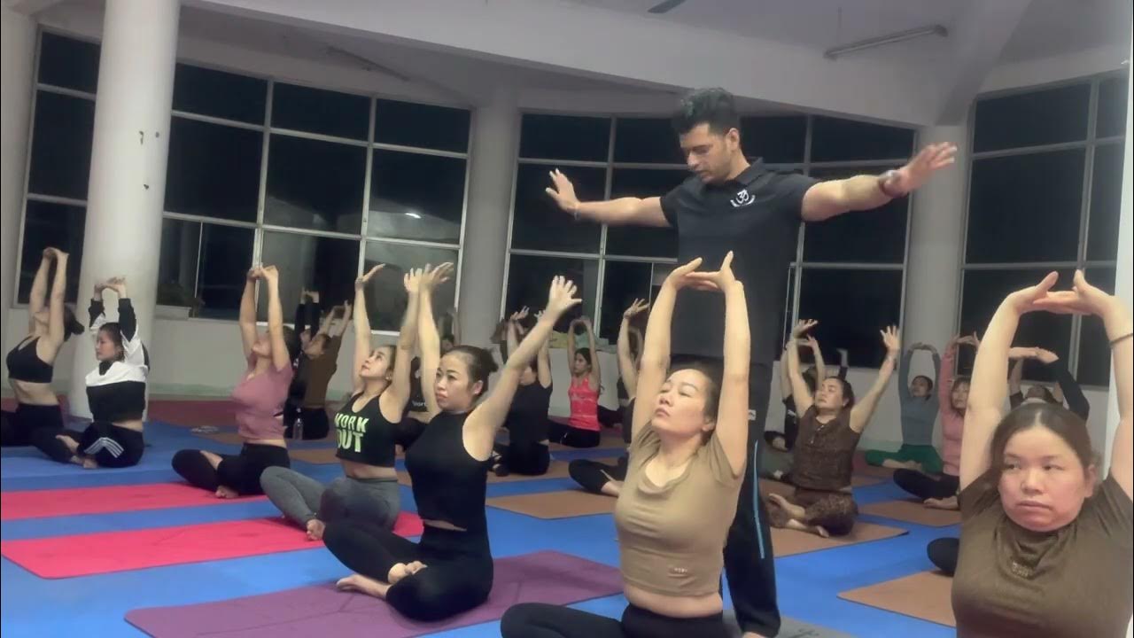 Basic yoga class for biginner Basic Yoga Class For All Level Yoga