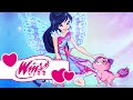 Winx Club - Chọn lọc: Khám phá những con vật cổ tích [Musa]