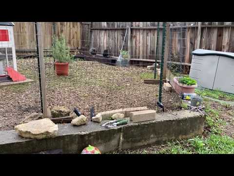 Ultimate Predator Proofing