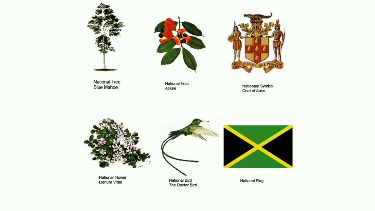 Symbole national цена 0.7. Ямайка символы. Герб Ямайки обозначение. National Heritage. Самый распространенный цветок Ямайка.