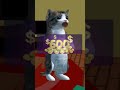 TAX TIME! #catsimulatoranimallife #funny #fyp #cat #cats