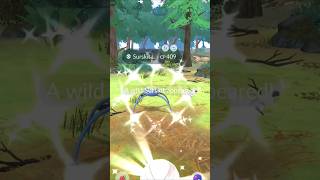 🔥Riolu Hatch Day &amp; a NEW SHINY🔥 #pokemon #pokemongo #shorts #shortsfeed