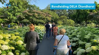 Download Lagu Rondleiding DELA Ölandhorst | RADIO LELYSTAD MP3