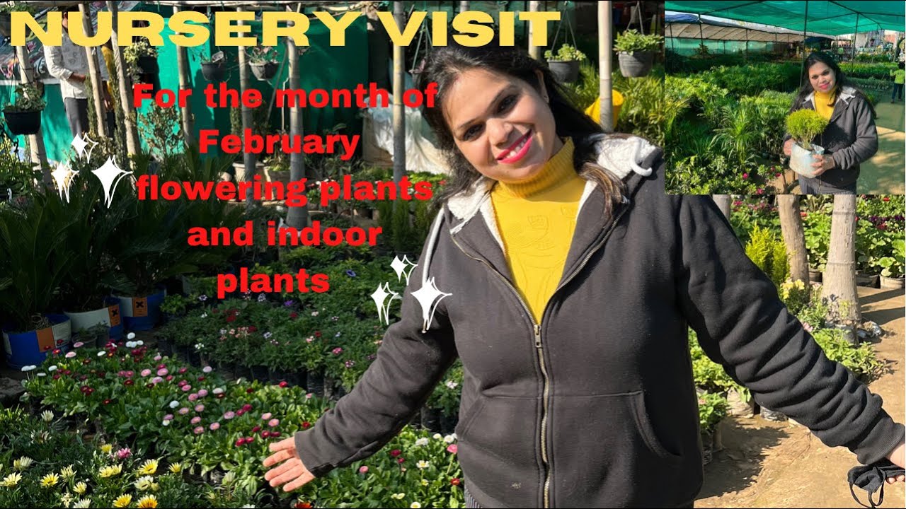Beauty of nursery in the month of Feb