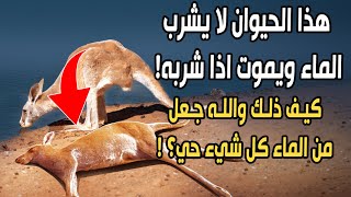 حيوان لا يشرب الماء ويمـ.ـوت إذا شربه! كيف ذلك والقرآن الكريم يقول 