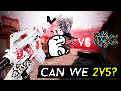 HAIX & FURIOUSSS VS THE GLOBAL ELITE (2V5 MATCHMAKING)