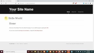 React Installation - SilverStripe with React Episode 2