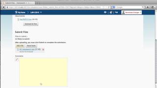 How to Upload an Assignment (D2L 10.0)