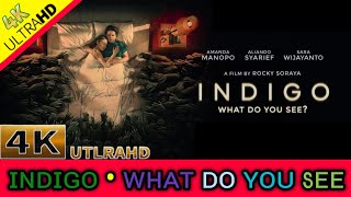 FILM BIOSKOP HOROR ‼️| INDIGO WHAT DO YOU SEE | FULL MOVIE
