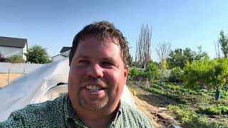 Revolutionary Hobbit Hole Greenhouses COOLER INSIDE than the 106 Degrees OUTSIDE! No Fans Needed!