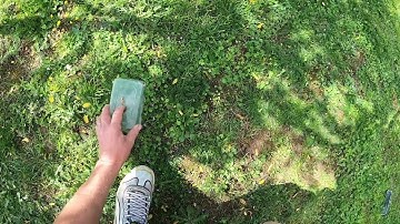 Nexus Standard MP V3 Concentric Vs Double D Coils - Unmasking