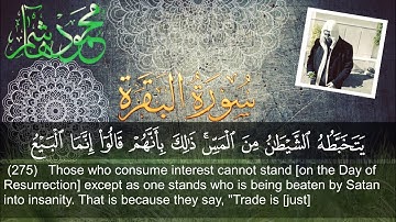 الشيخ محمود هاشم - سورة البقرة من الآية 265 إلى الآية 282