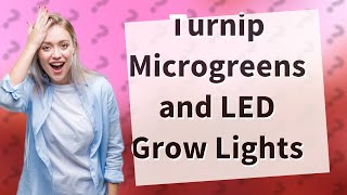 Can LED Grow Lights Outperform Garage Lights for My Turnip Microgreens?