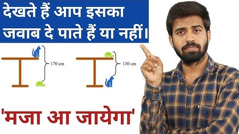 Very Easy Question | Can You Answer? | Table,Cat And Turtle 🐢