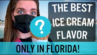 Best Ice Cream Flavor? ONLY in Florida | Twins Travel Vlog