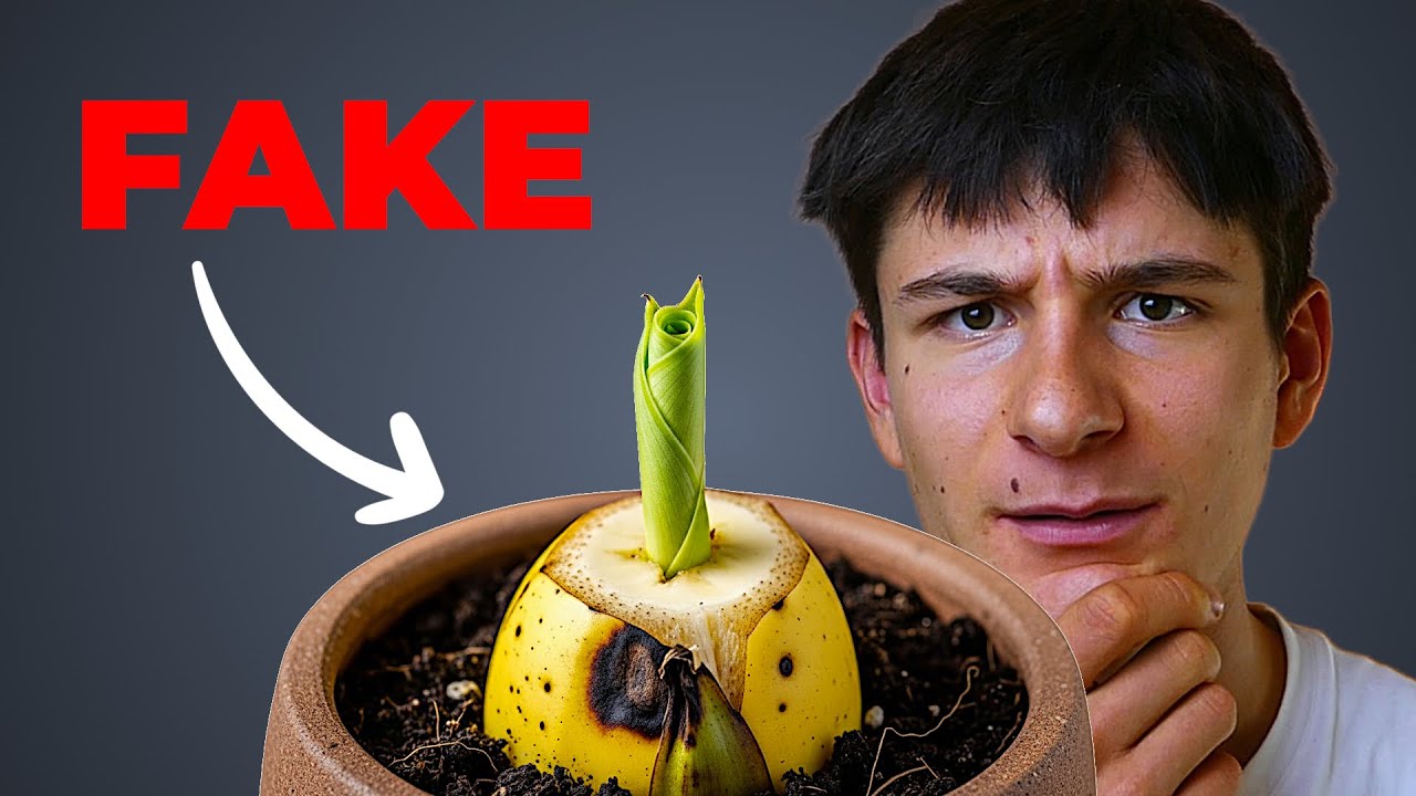 Perchè piantare le banane da seme è IMPOSSIBILE