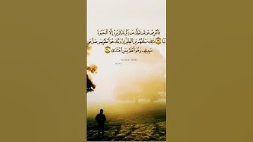 #عبدالرحمن_مسعد_تلاوة_جديدة #قران_كريم #راحة_نفسية #لايك #تيك_توك