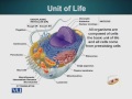 BIO201 Cell Biology Lecture No 13